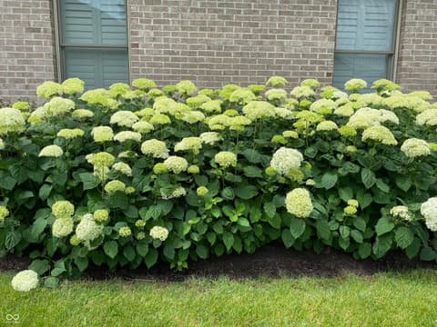 Other — 10124 Basalt Court, Noblesville, IN