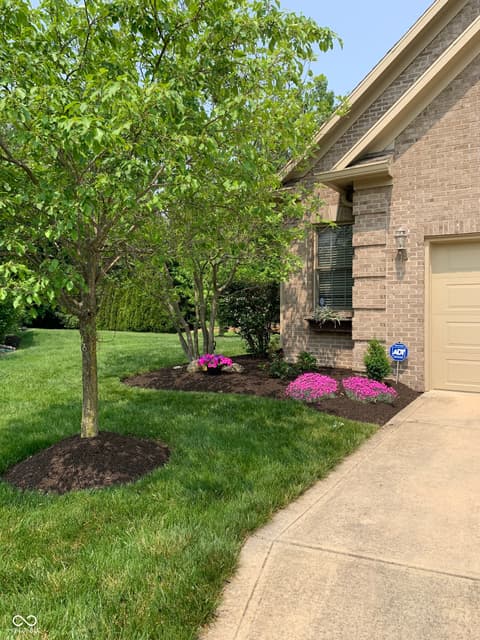 Yard at 10124 Basalt Court, Noblesville, IN