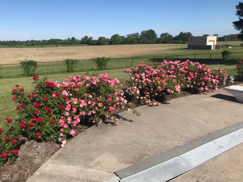 View — 8329 S 300 W, Pendleton, IN