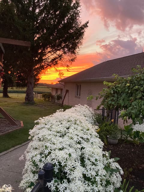 View — 8329 S 300 W, Pendleton, IN