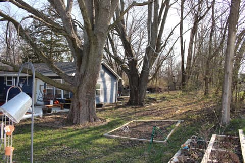 Backyard at 306 S Cherry Street, Westfield, IN — Charming wooded retreat with mature trees and gardens.