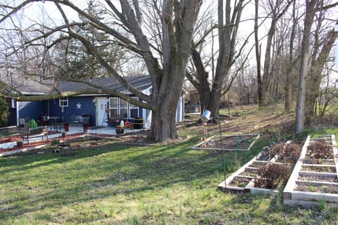 Backyard at 306 S Cherry Street, Westfield, IN — Charming cottage with mature trees and garden-ready yard.