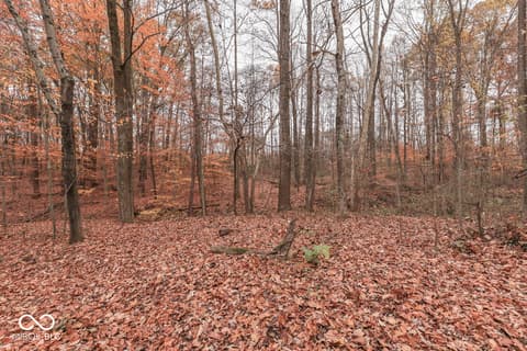 Photo of 8190 Beech Grove Road, Martinsville, IN