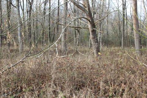Photo of 5814 W County Road 100 S, Greencastle, IN