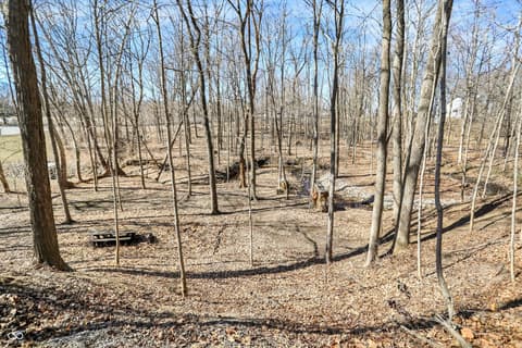Yard at 11850 Deer Walk Drive, Cicero, IN