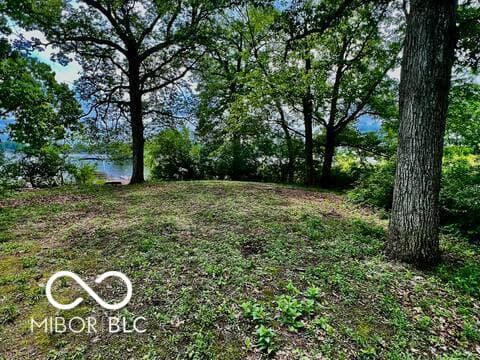 Photo of Island 2 - Lake Manitou, Rochester, IN