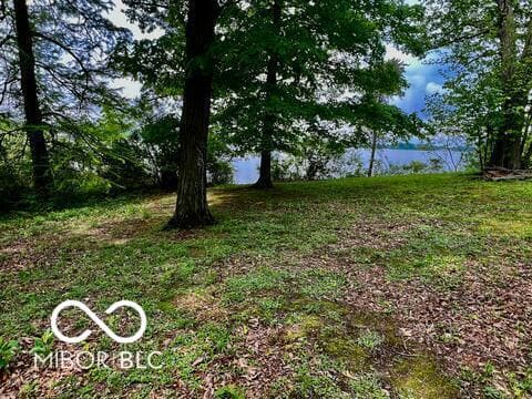 Photo of Island 2 - Lake Manitou, Rochester, IN
