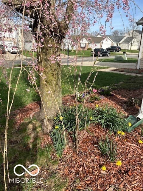Photo of 12257 Driftstone Drive, Fishers, IN