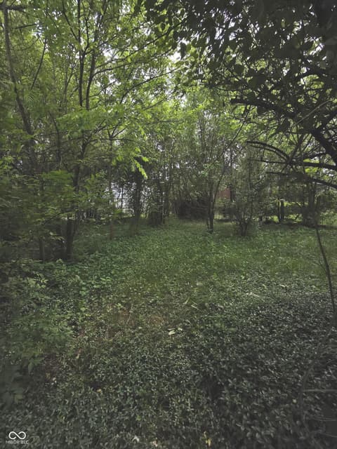 Yard at 1168 N Gladstone Avenue, Indianapolis, IN