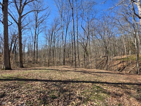 Photo of 6538 N Tutterow Road, Monrovia, IN