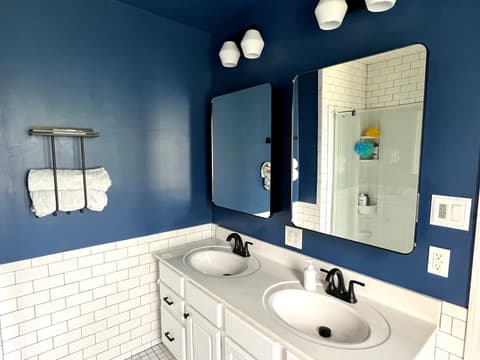 Primary bathroom at 377 4th Court E, Carmel, IN