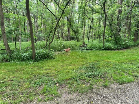 Photo of 7811 N County Road 500 E, Pittsboro, IN