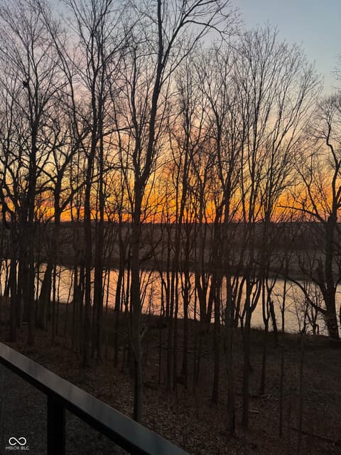 Backyard at 14442 Treasure Creek Lane, Fishers, IN — Serene wooded lot with water views and natural privacy.