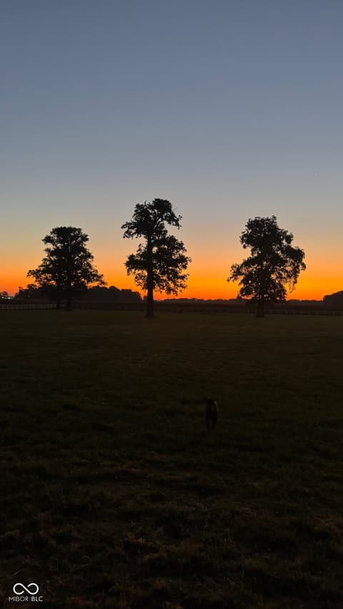 Photo of 7147 S County RD 130 Road W, Frankfort, IN