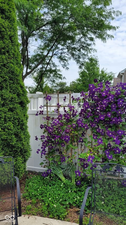 Photo of 461 Dekalb Drive, Westfield, IN