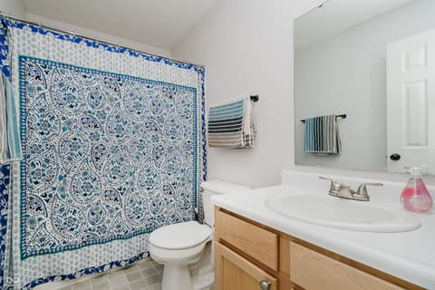 Bathroom at 1060 Frogs Leap, Cicero, IN