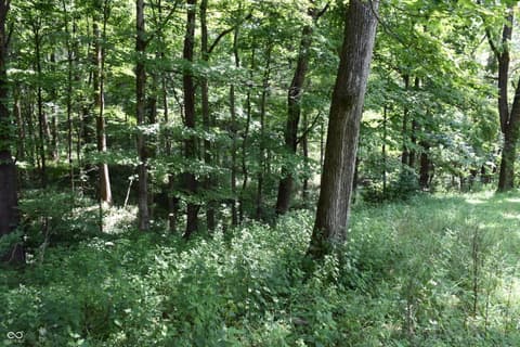 Photo of 1715 Orchard Hills Road, Martinsville, IN