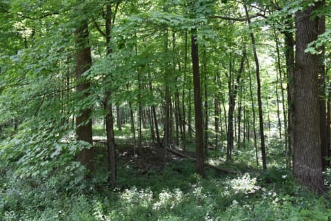Photo of 1715 Orchard Hills Road, Martinsville, IN