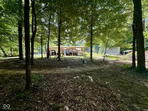 Yard at 2500 S Edgewood Cove, Martinsville, IN