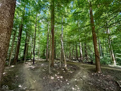 View — 2500 S Edgewood Cove, Martinsville, IN