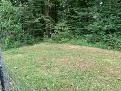 Yard at 756 Tudor Place, North Vernon, IN
