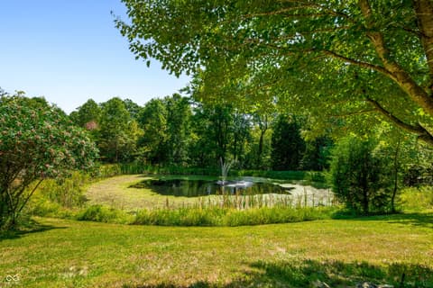 Yard at 9601 Buffalo Pike, Freetown, IN
