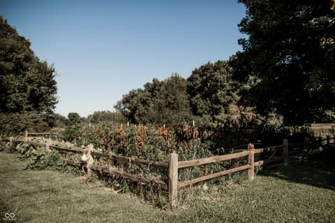 Yard at 2710 E State Road 32, Crawfordsville, IN