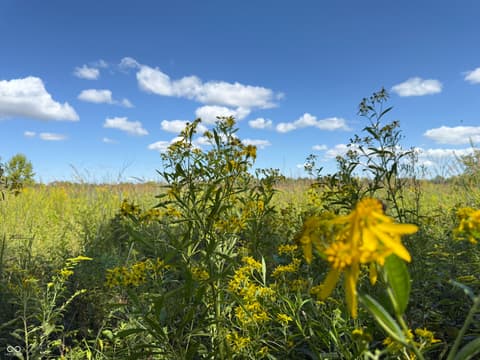 View — 2710 E State Road 32, Crawfordsville, IN