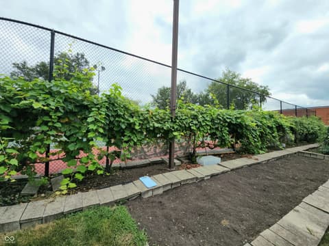 Yard at 8720 Yardley Court, Indianapolis, IN