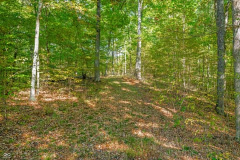 Photo of 1541 Clay Lick Road, Nashville, IN