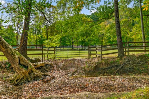 Photo of 5998 Bear Creek Road, Morgantown, IN