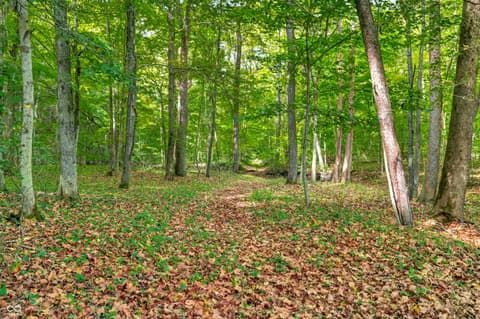Photo of 5998 Bear Creek Road, Morgantown, IN