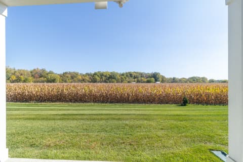 Yard at 4611 Bethel Cove Drive, Indianapolis, IN