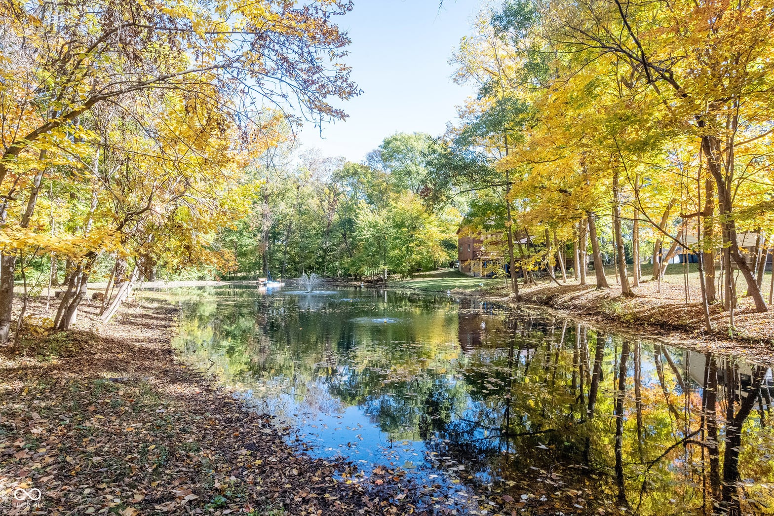 Pond
