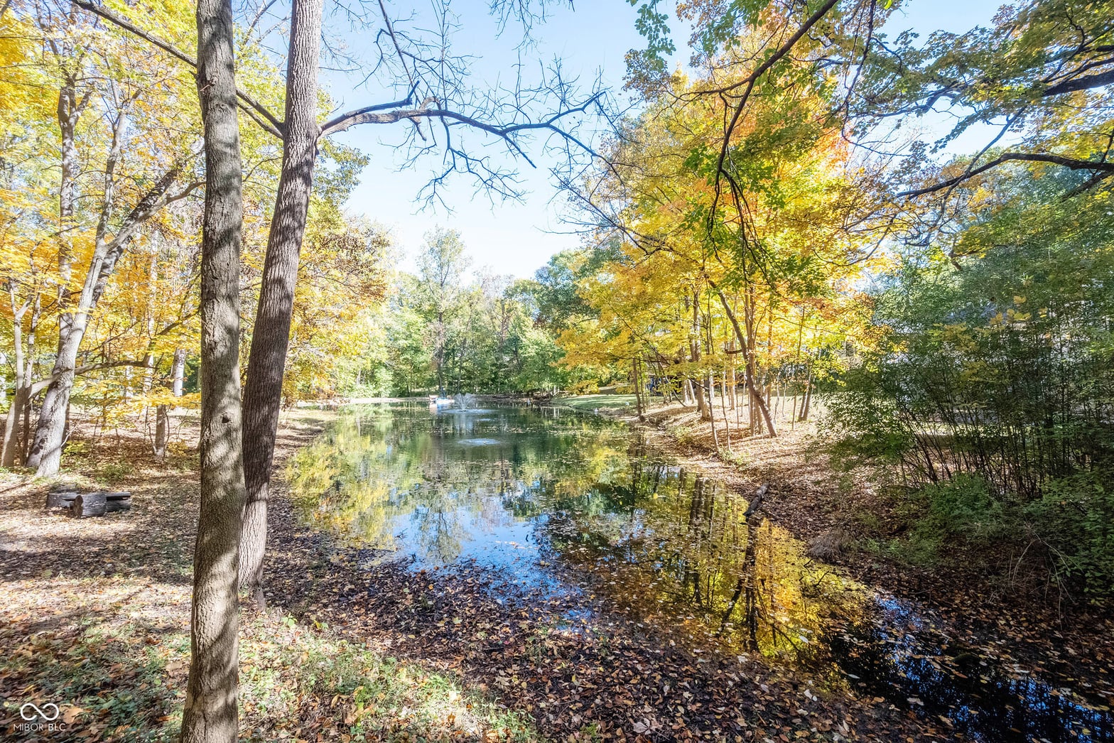 Pond