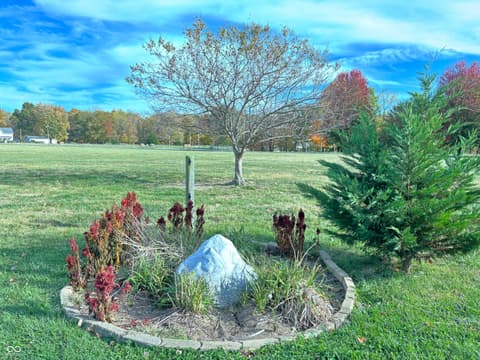 Yard at 7710 E 720 S, Carbon, IN