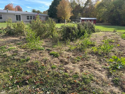 Yard at 7710 E 720 S, Carbon, IN