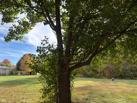 Yard at 7710 E 720 S, Carbon, IN