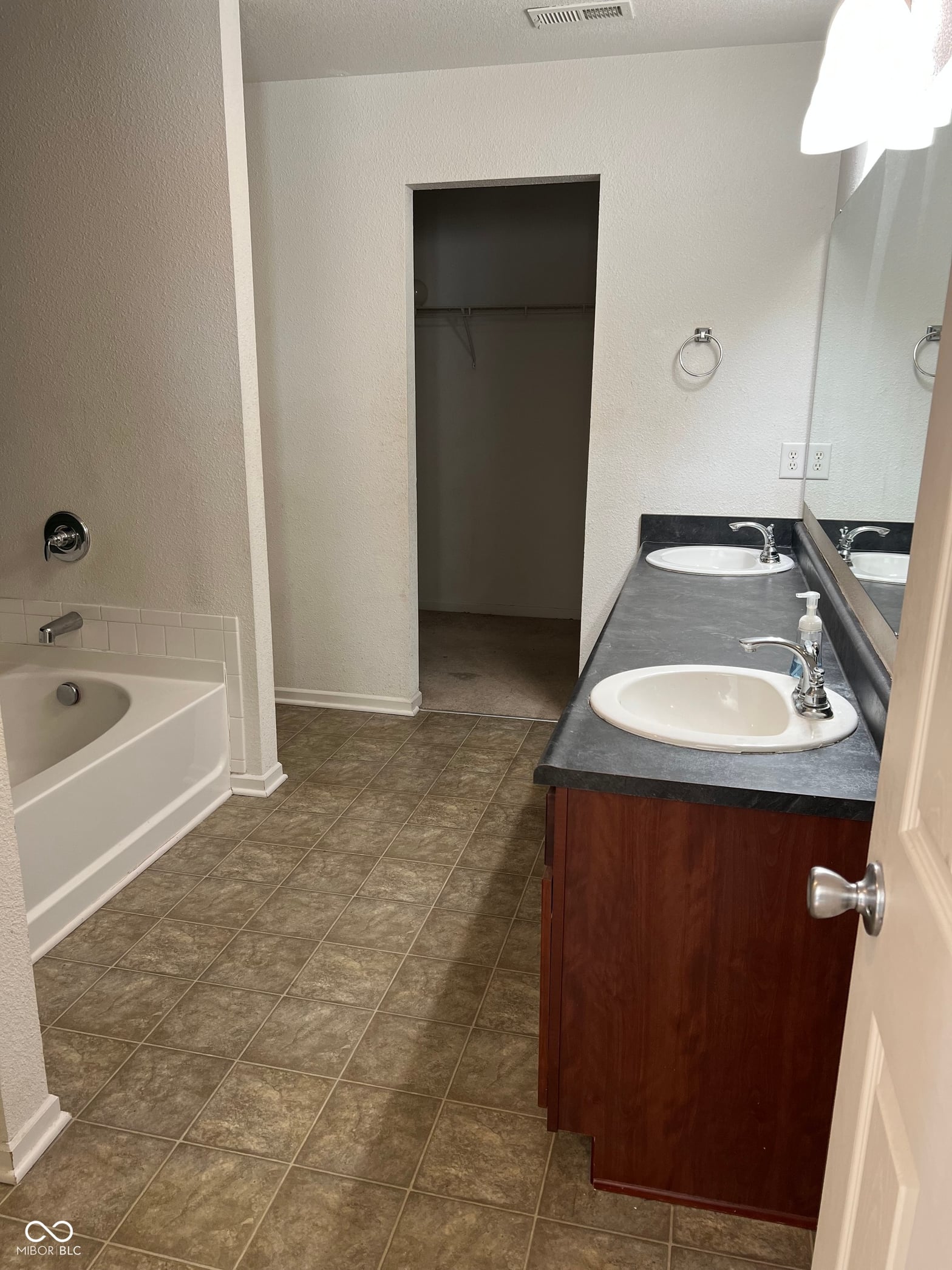 Primary bathroom at 1225 Maple Trace Way, Sheridan, IN — Spacious primary bath with dual vanity and walk-in closet.