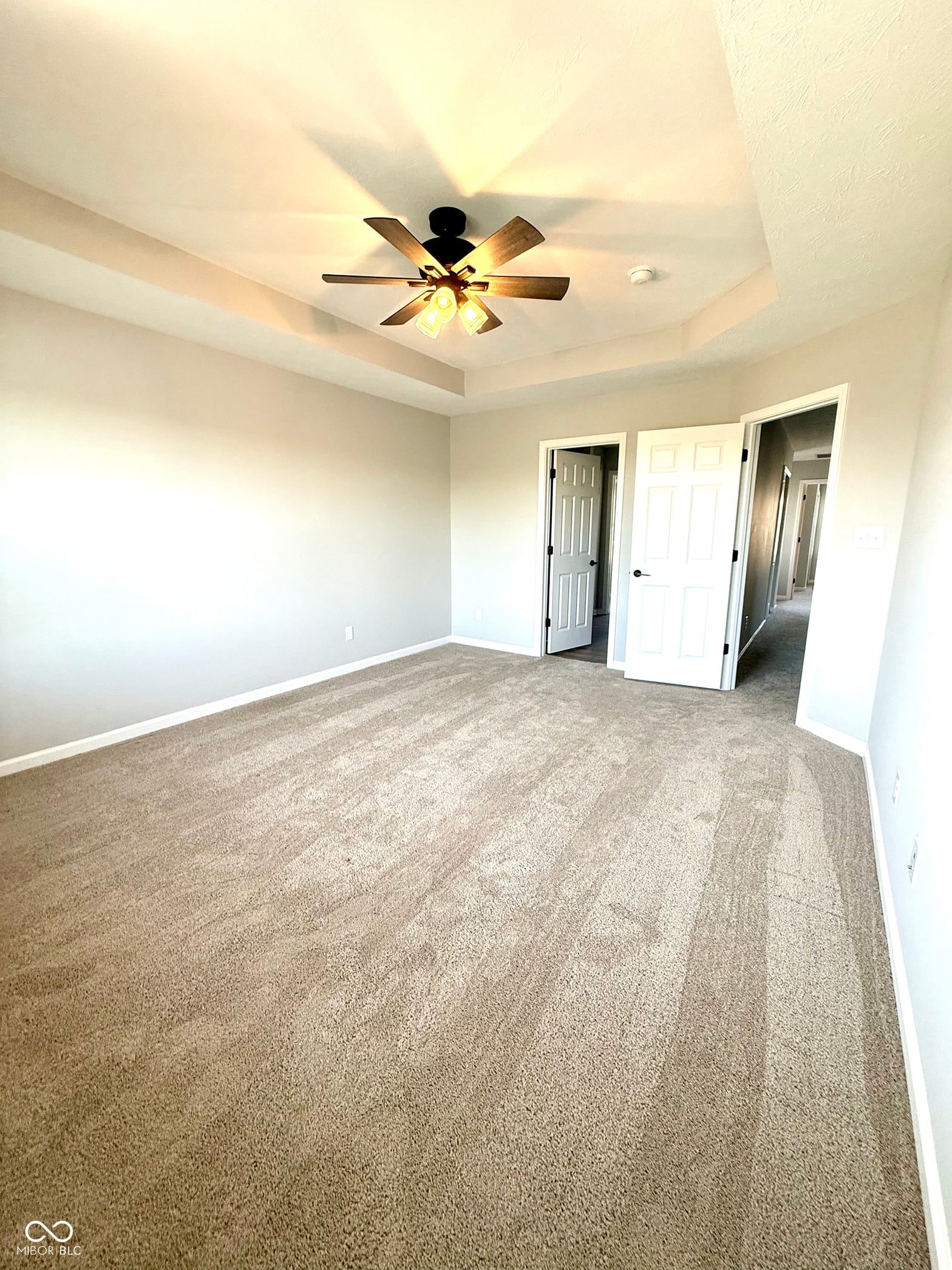 Bright primary bedroom with tray ceiling and modern fixtures.