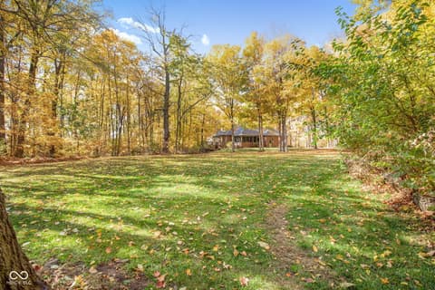 Backyard at 10791 E State Road 47, Sheridan, IN — Spacious wooded property with mature trees and open yard.