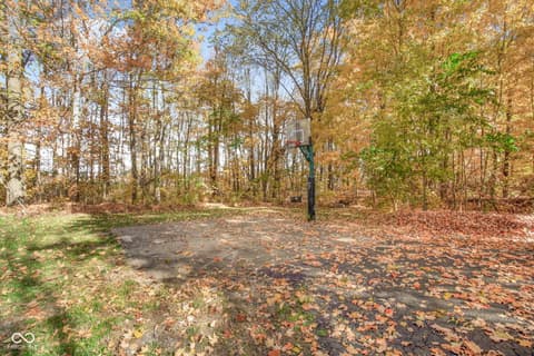 Yard at 10791 E State Road 47, Sheridan, IN — Spacious wooded yard with basketball court amenity.