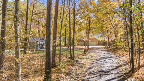Backyard at 10791 E State Road 47, Sheridan, IN — Spacious wooded property with mature trees and privacy.