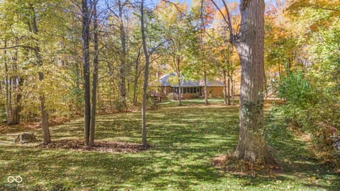 Backyard at 10791 E State Road 47, Sheridan, IN — Spacious wooded lot with mature trees and privacy.