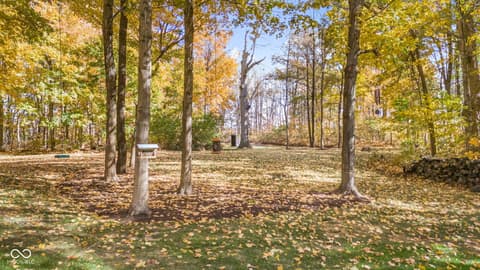 Yard at 10791 E State Road 47, Sheridan, IN — Spacious wooded lot with mature trees and fall colors.