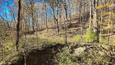 Photo of 8273 E State Road 56, Madison, IN