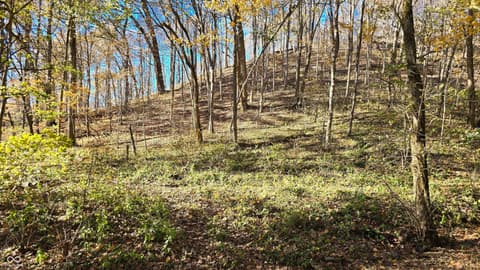 Photo of 8273 E State Road 56, Madison, IN