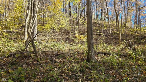 Photo of 8273 E State Road 56, Madison, IN
