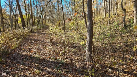 Photo of 8273 E State Road 56, Madison, IN