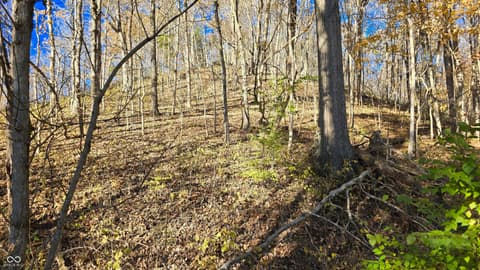 Photo of 8273 E State Road 56, Madison, IN